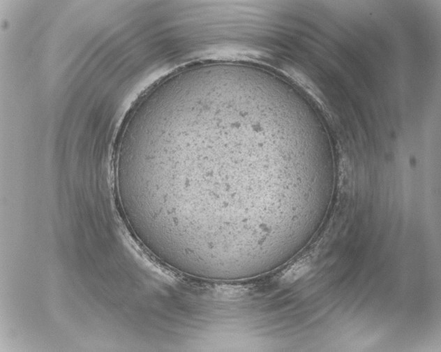 X0000056330848200508261218