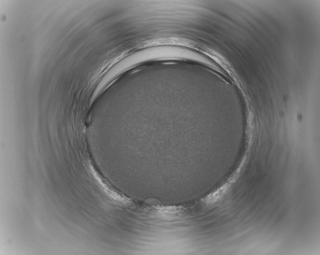 X0000056330849200508261218