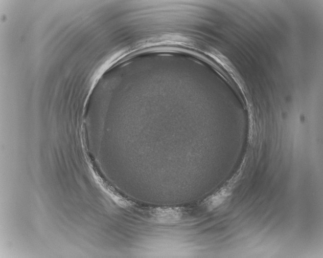 X0000056330850200508261218