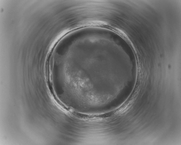 X0000056330851200508261218