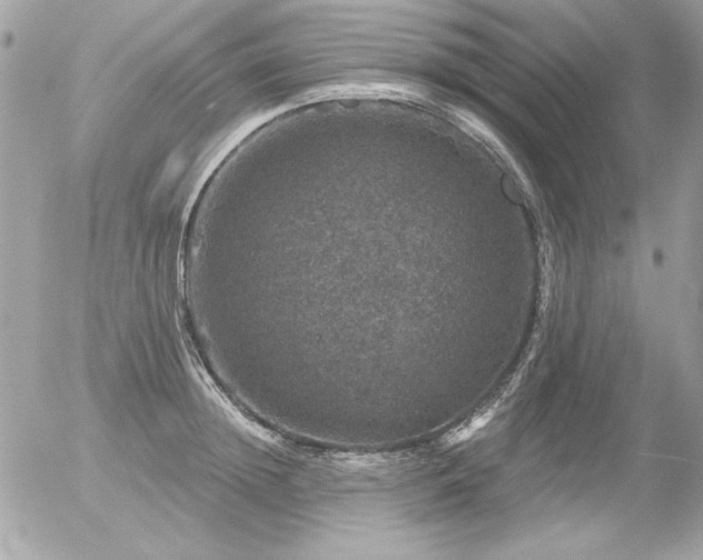 X0000056330852200508261219