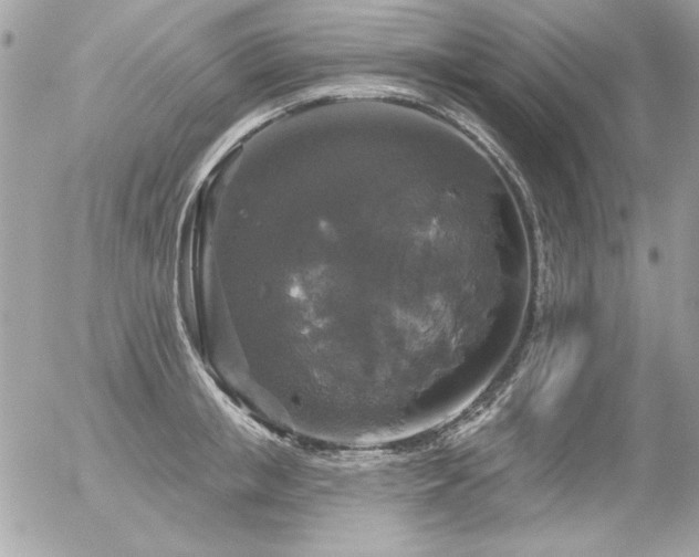 X0000056330853200508261219