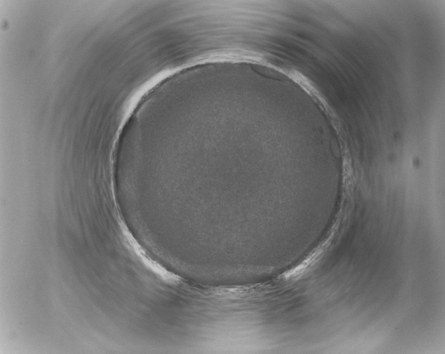 X0000056330854200508261219