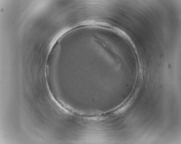 X0000056330855200508261219