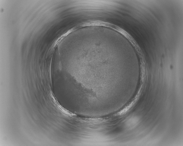 X0000056330857200508261219