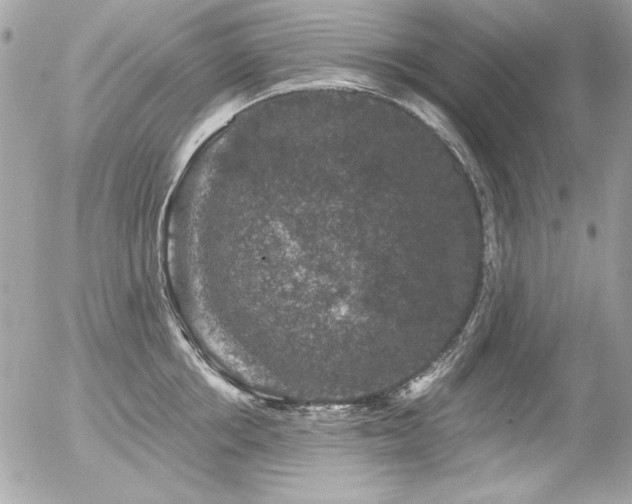 X0000056330858200508261219