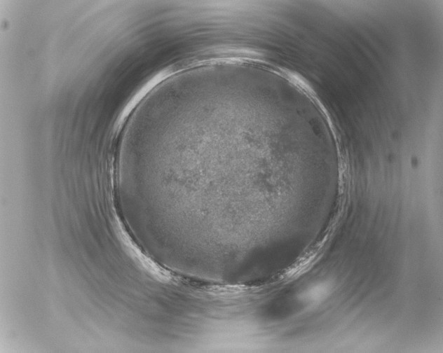 X0000056330859200508261219