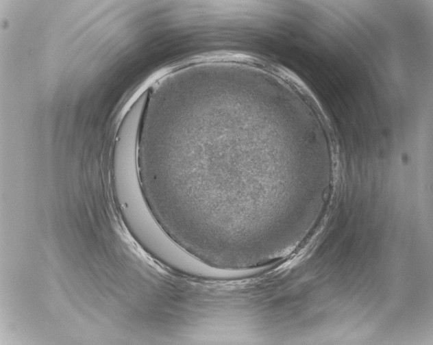 X0000056330860200508261219