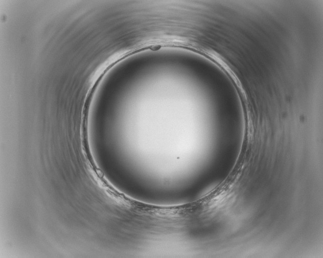 X0000056330861200508261219