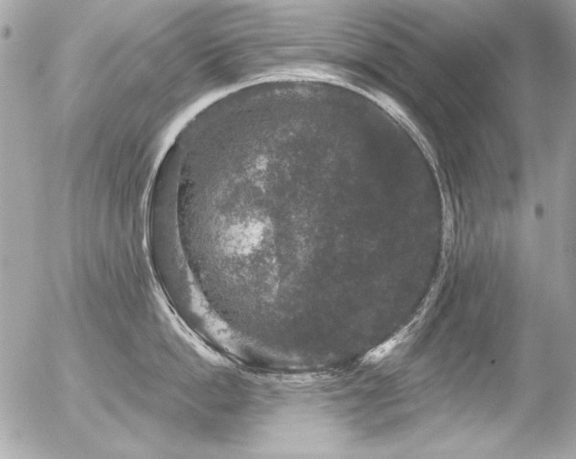 X0000056330862200508261219