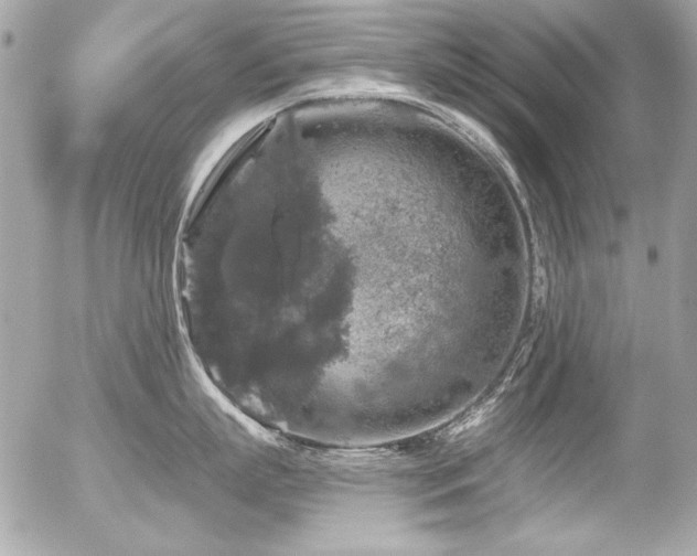 X0000056330863200508261219