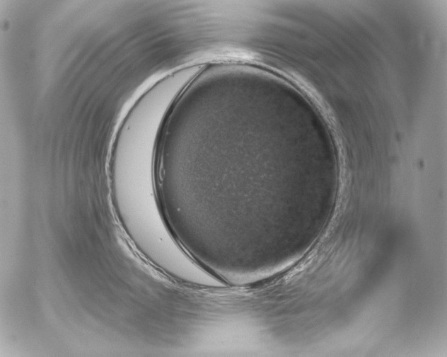 X0000056330864200508261219