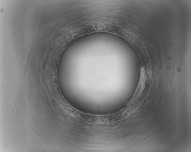 X0000056330865200508261218