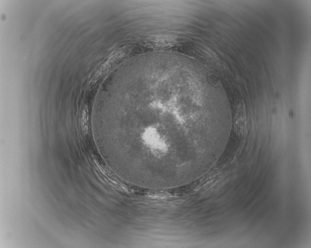 X0000056330866200508261218