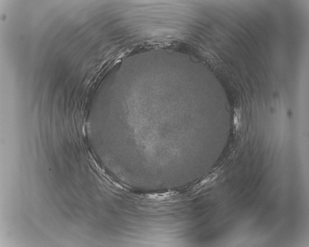 X0000056330867200508261218