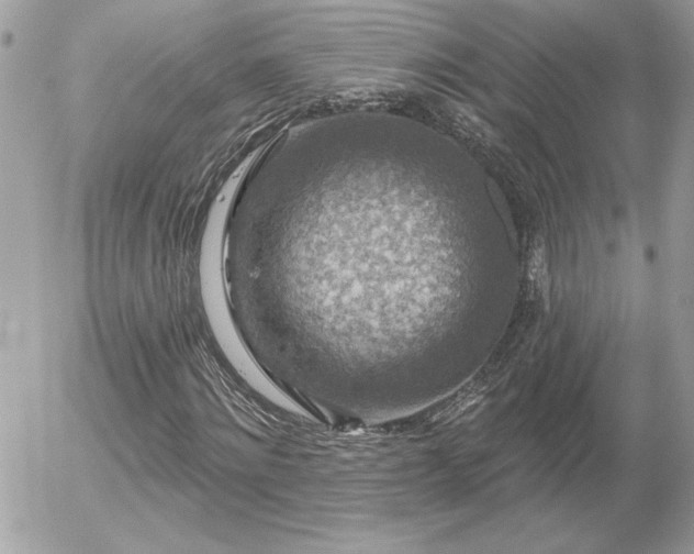 X0000056330868200508261218