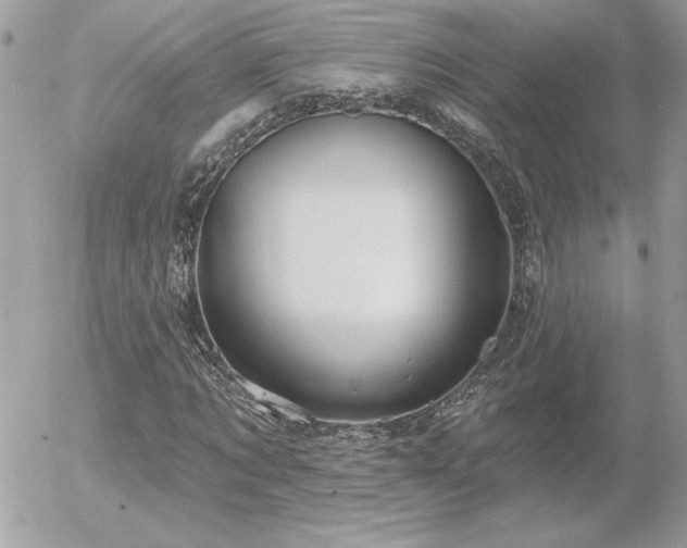 X0000056330869200508261218