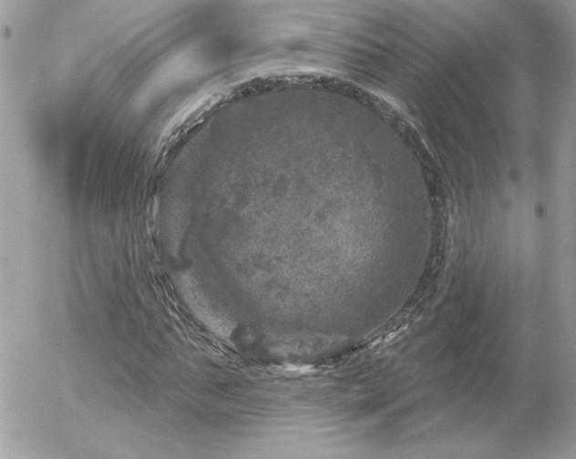 X0000056330871200508261218