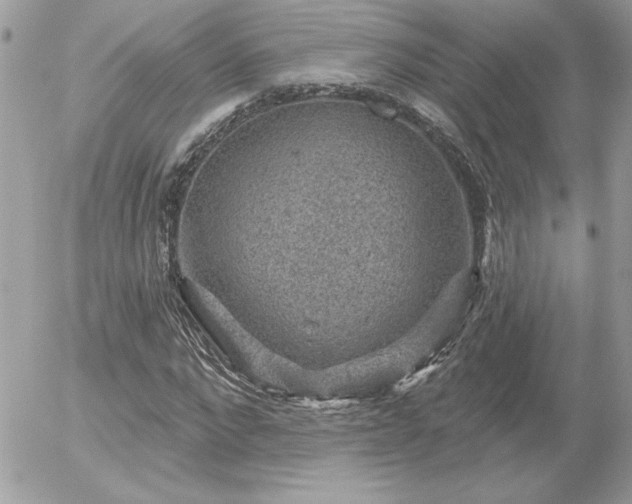 X0000056330872200508261218