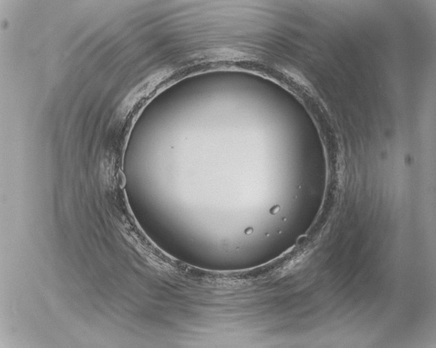 X0000056330873200508261218