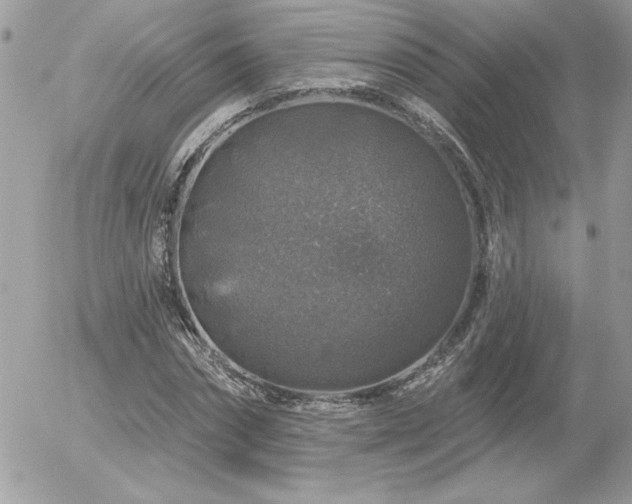 X0000056330874200508261218