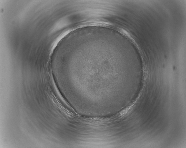 X0000056330875200508261218