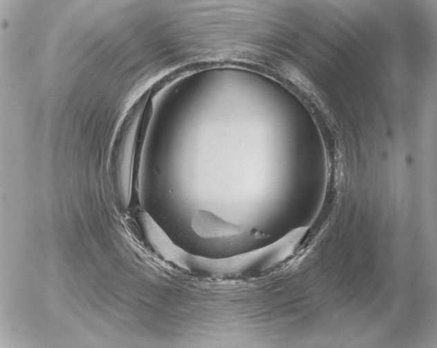 X0000056330876200508261218