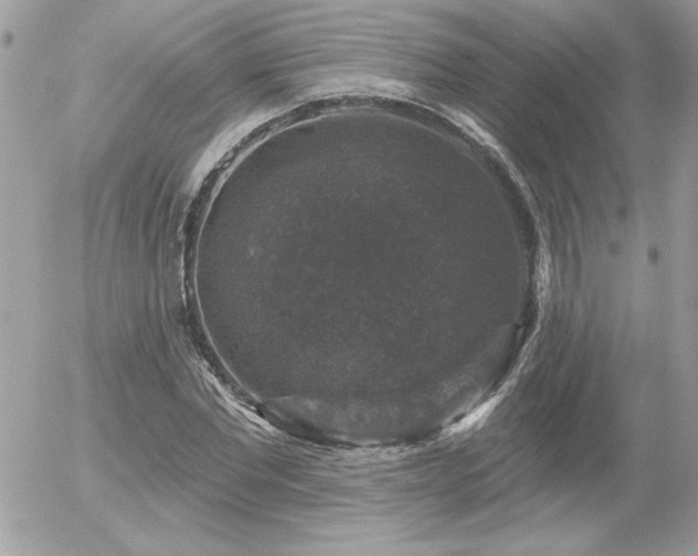 X0000056330877200508261218