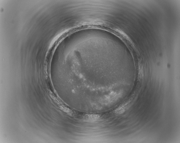 X0000056330878200508261218