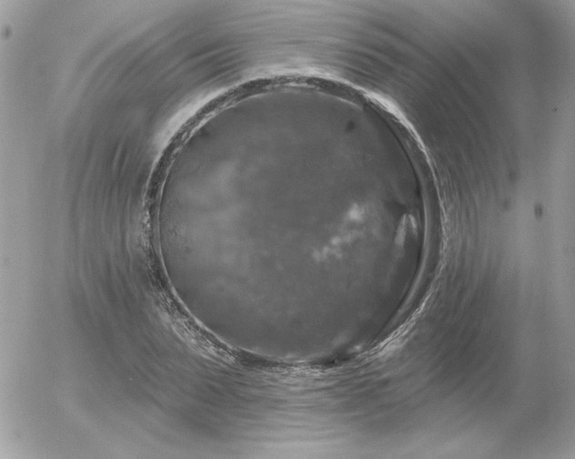 X0000056330879200508261218