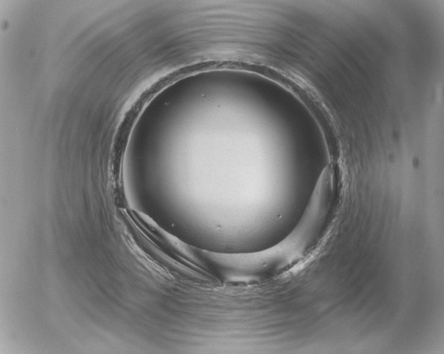 X0000056330880200508261218