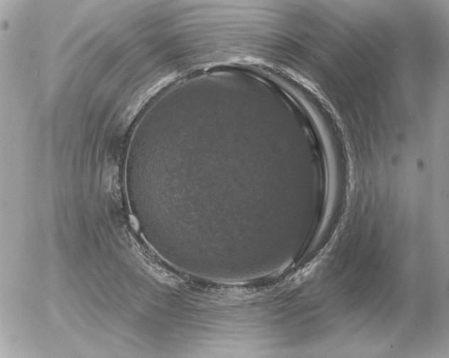 X0000056330881200508261218