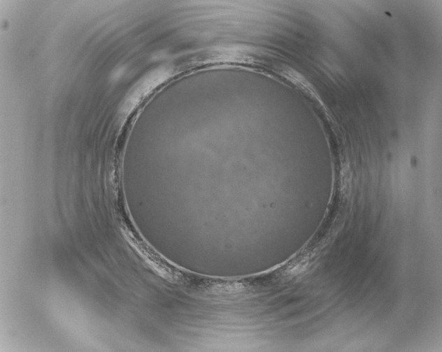 X0000056330882200508261218