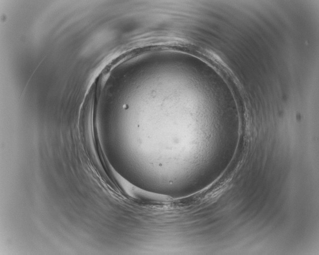 X0000056330883200508261218