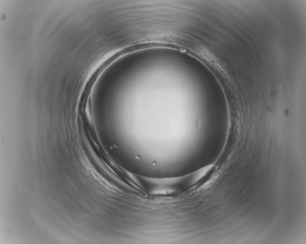 X0000056330884200508261218