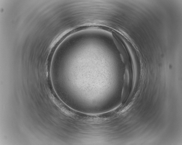 X0000056330885200508261218