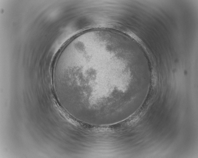 X0000056330886200508261218