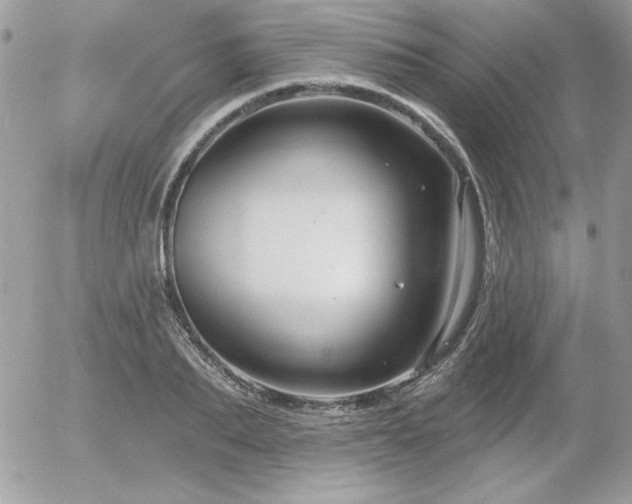 X0000056330887200508261218