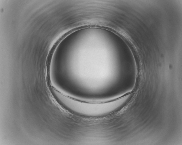 X0000056330888200508261218