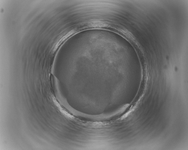 X0000056330889200508261218