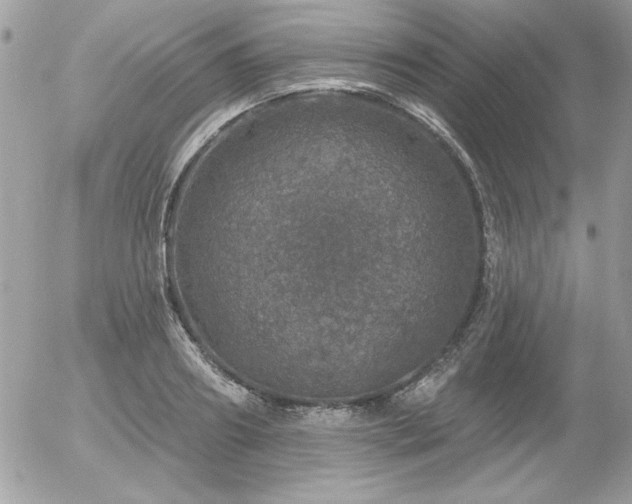 X0000056330890200508261218