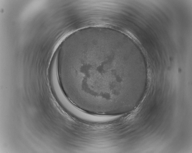 X0000056330891200508261217