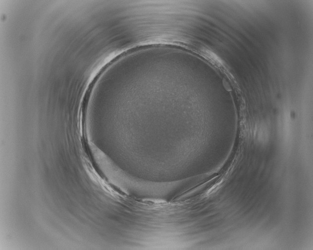 X0000056330892200508261217