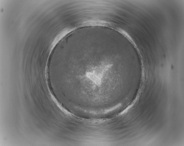 X0000056330893200508261217