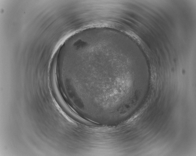 X0000056330894200508261217