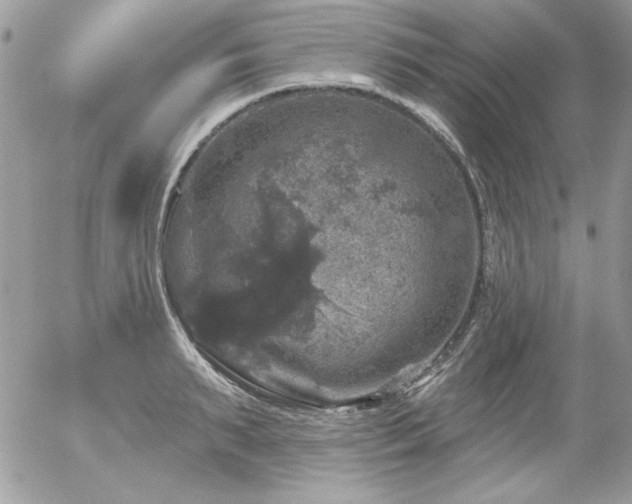 X0000056330895200508261217