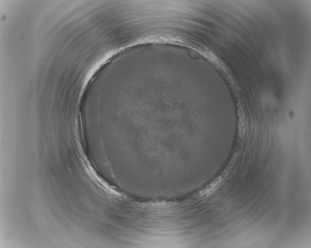 X0000056330896200508261217