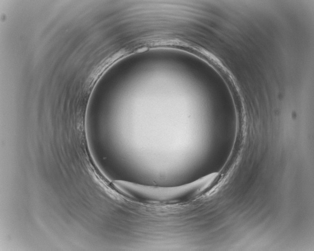 X0000056330897200508261217