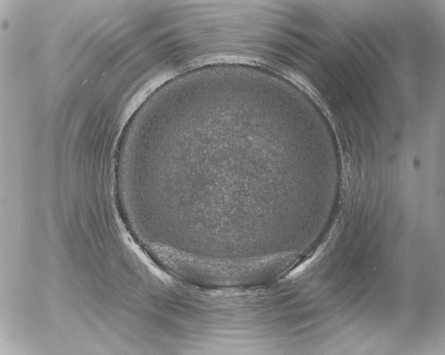 X0000056330898200508261217