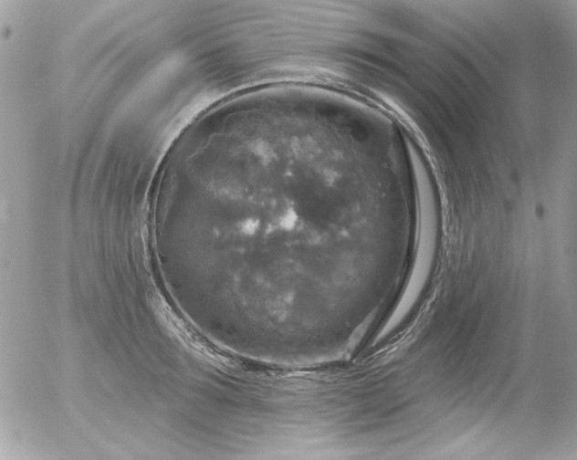 X0000056330899200508261217